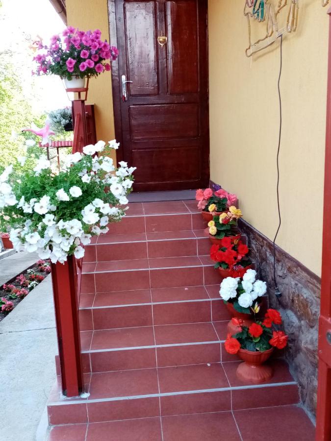 Casa Voica Apartment Turda Exterior photo