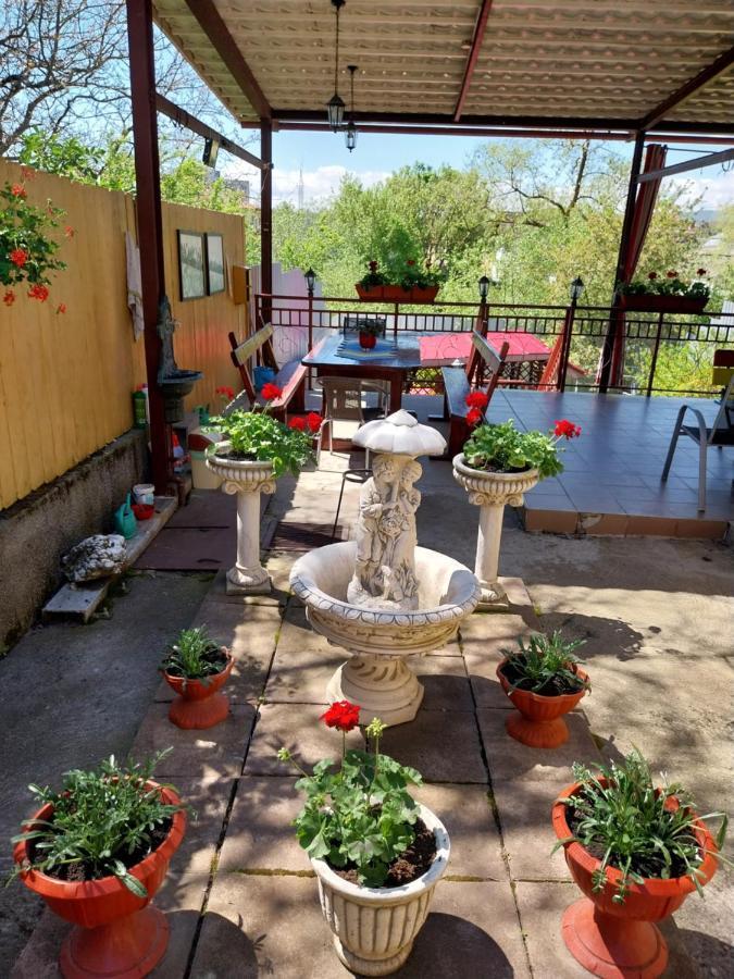 Casa Voica Apartment Turda Exterior photo